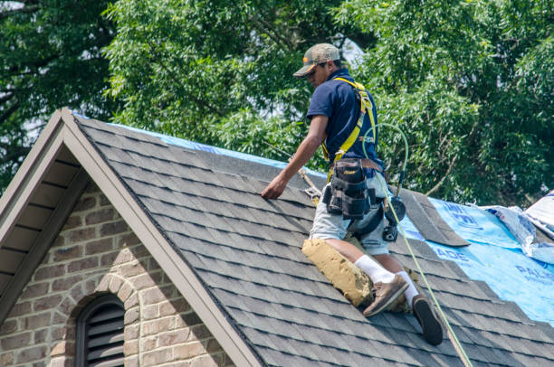 Professional Roofing Contractor in Elkton, VA